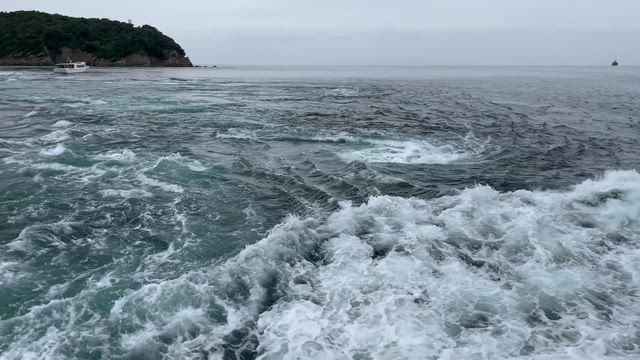 看板犬Noah と淡路島・グランピング旅～うずしおクルーズとNoah が・・(´･ω｀･)ｴｯ～の記事動画