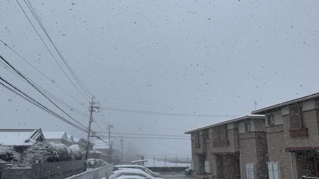 母の闘病記　番外編②　次のステップへ　転院に向けての課題の記事動画