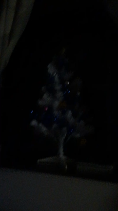 クリスマスツリー点灯の記事動画