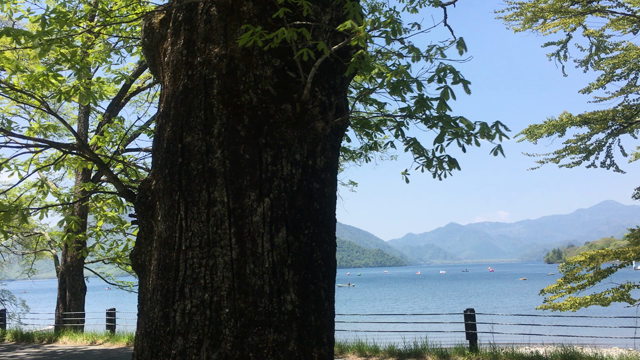 中禅寺湖の記事動画