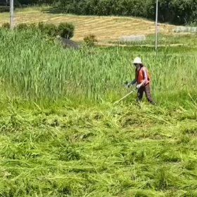 花巻市家事パル現場女子、草刈り‼️の画像