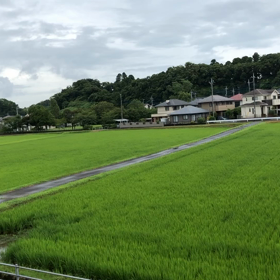 最近気がついたことの画像