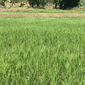 大好きな風景の画像