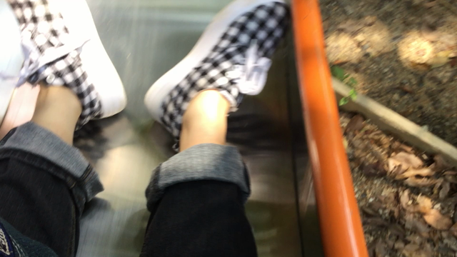 アスレチックの記事動画
