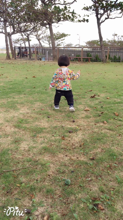 息子と散歩の記事動画