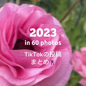 TikTokまとめ動画の画像