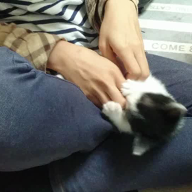 かわいいのがとれましたの画像