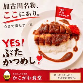 YES !  ぶたかつめし‼️の画像