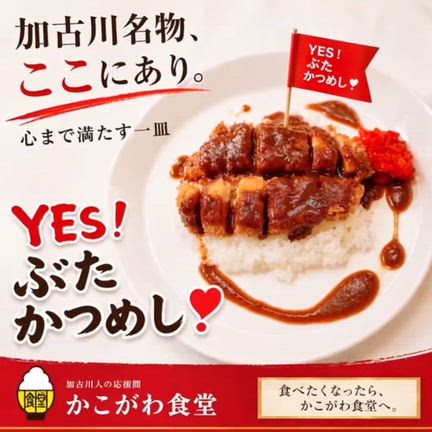どろ鶏かつめし‼️の記事動画