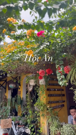 ホイアンで、子連れで絶品ベトナム料理。HERITAGE Hoi Anの記事動画