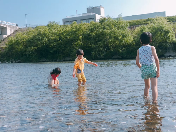五感で感じるの記事動画