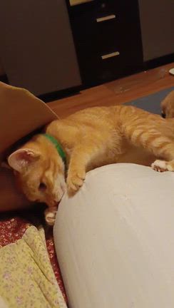 なんだかイラつく日だったのでグチの記事動画