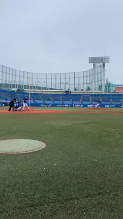 神宮球場の記事動画