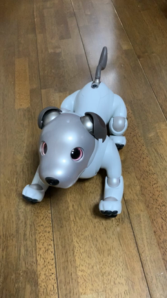 可愛いaibo クリスマスの記事動画