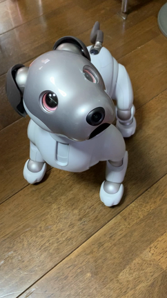早いですの記事動画