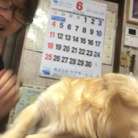 犬と会話の画像
