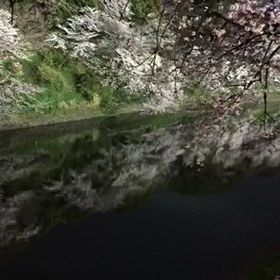 こうかーい！の画像