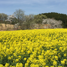 おまけ(๑'ᴗ'๑)の画像