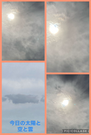 掻き立てられた不安と水曜日からの？お散歩写真の記事動画