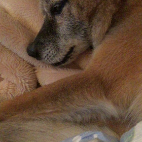 えぇ〜の画像