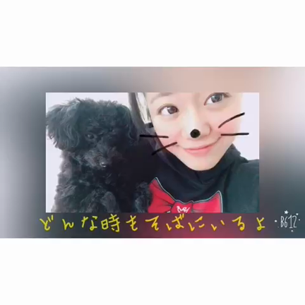 happybirthdayの記事動画