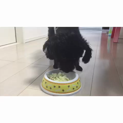 happybirthdayの記事動画
