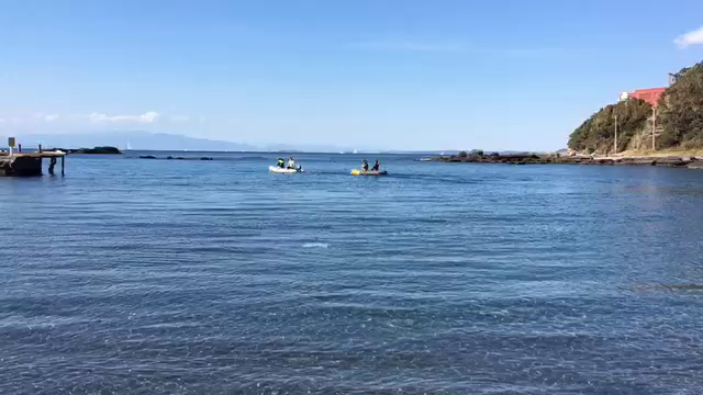 お久しぶりじゃの記事動画