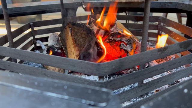 執念で…笑の記事動画