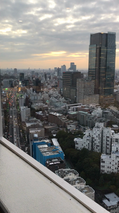 チャリティイベントへ参加しましたの記事動画
