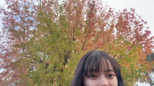 ハンバーグの記事動画