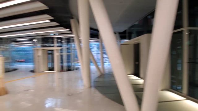 琵琶ライブのお知らせの記事動画