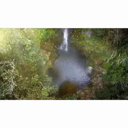 Facethewild チャレンジ♡の記事動画