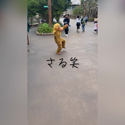 りりだお！の記事動画