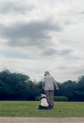 アナベルの収穫　　ちょっとだけマリンと練習の記事動画