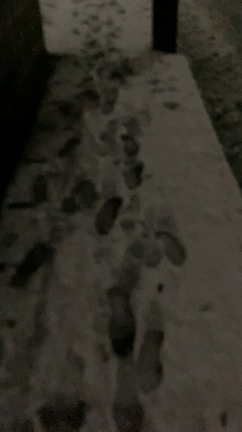 初雪❄️の記事動画