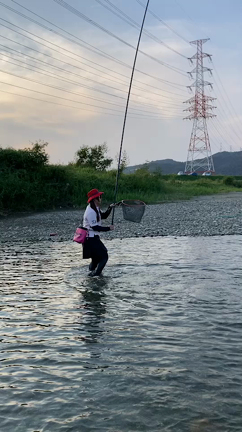 鮎の友釣り@貴志川〜の記事動画