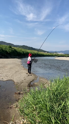 鮎の友釣り@貴志川〜の記事動画