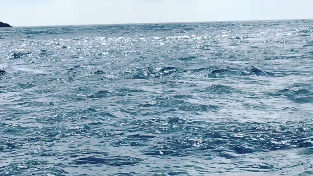 沖縄旅行〜私、鯨見たよ編〜の記事動画