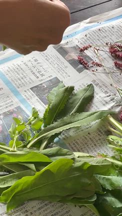 11月16日(土)17日(日)リトリートの記事動画