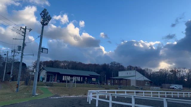 北海道の初冬旅② お馬さんと森への記事動画
