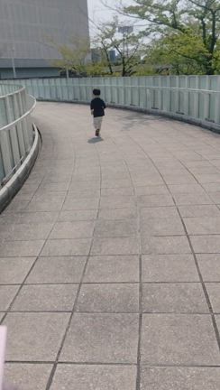 初めてのホールの記事動画