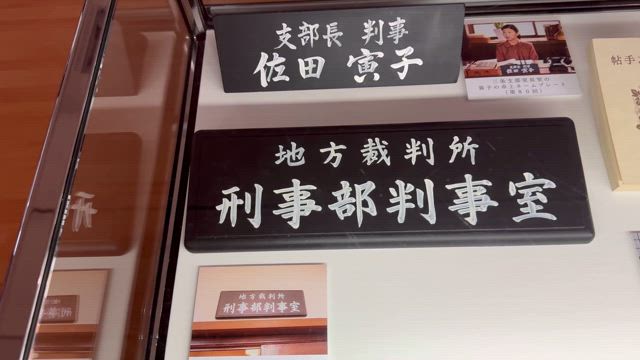 「虎に翼展」行ってきました！の記事動画