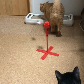 お久しぶりですの画像