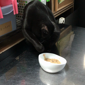 ご飯は手で食べますwの画像