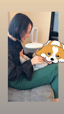 の記事動画