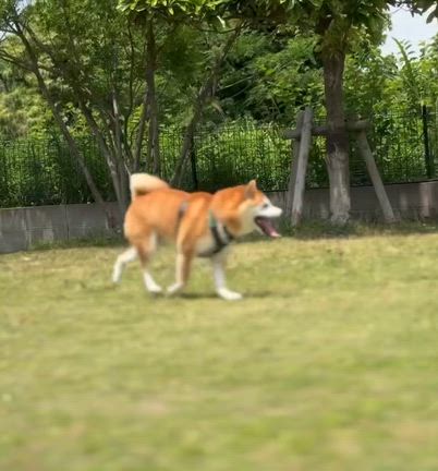 2026/05/24の記事動画