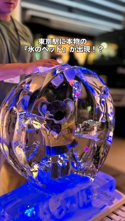 2026/08/31の記事動画