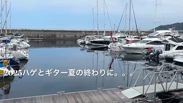 ハゲとギターとサンマと競輪と単独ライブの記事動画