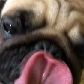 ペロペロもなかの画像