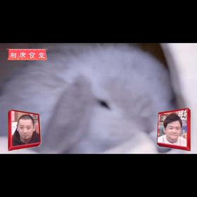 2026/04/17の画像